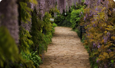 Посадка растений